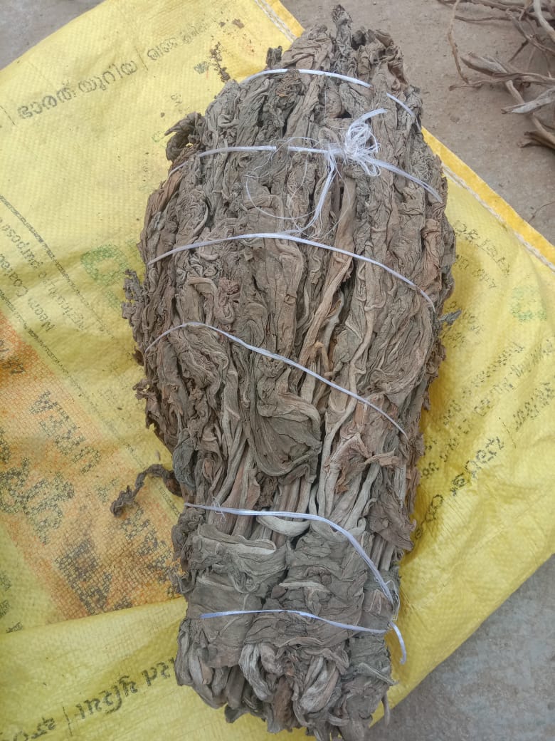 Desi Tambaco